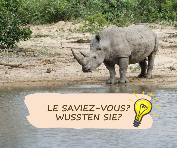Le saviez vous