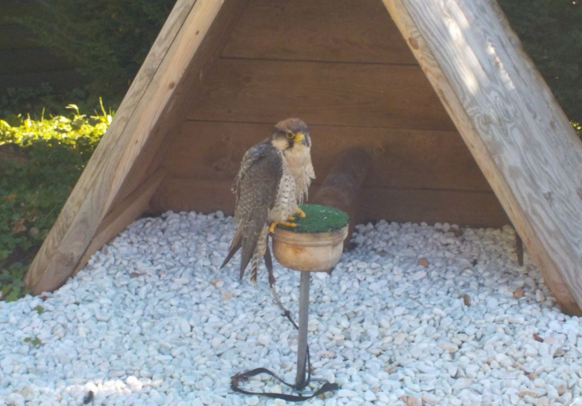 Vogelpark3 2